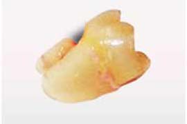 sanjeevanidentalcare